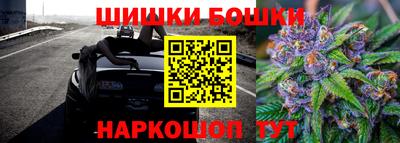 СК Тверь