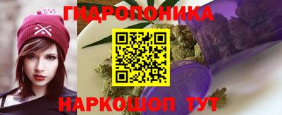 СК Тверь