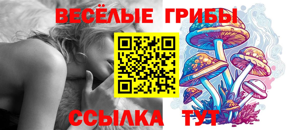 Галлюциногенные грибы мухоморы Чайковский