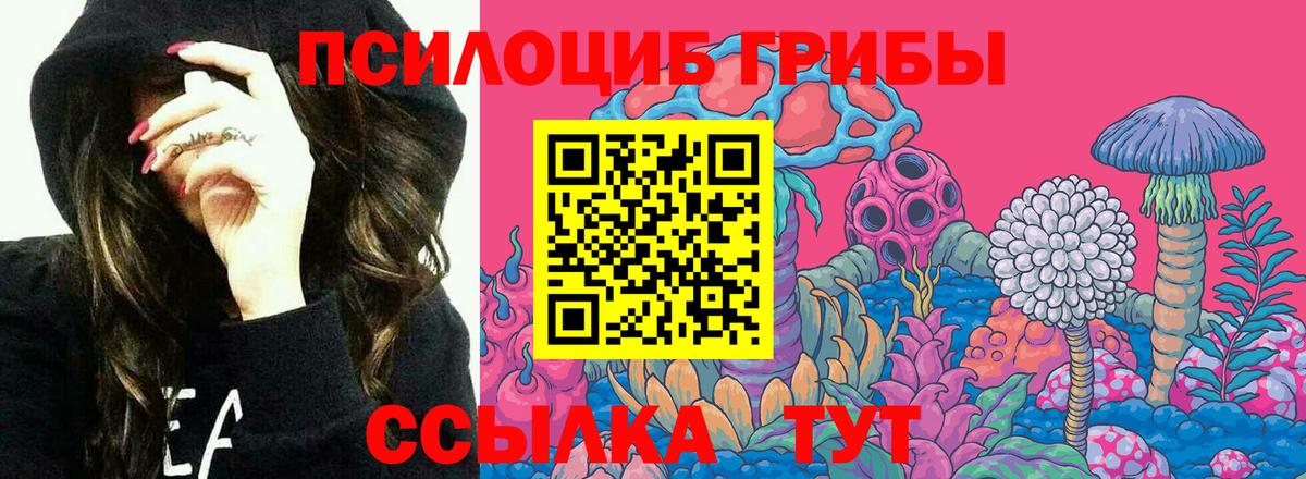 Чайковский  Галлюциногенные грибы Psilocybe  Псилоцибиновые грибы MAGIC MUSHROOMS  Вход с VPN 