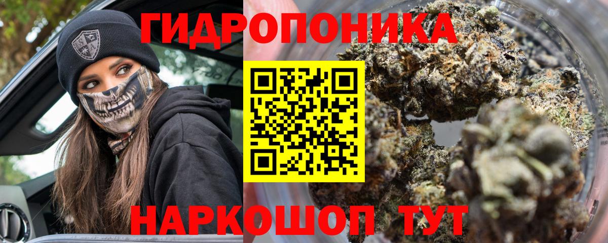 Конопля индика  Бошки Шишки Bruce Banner  Вход с VPN  Чайковский 